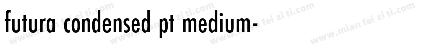 futura condensed pt medium字体转换